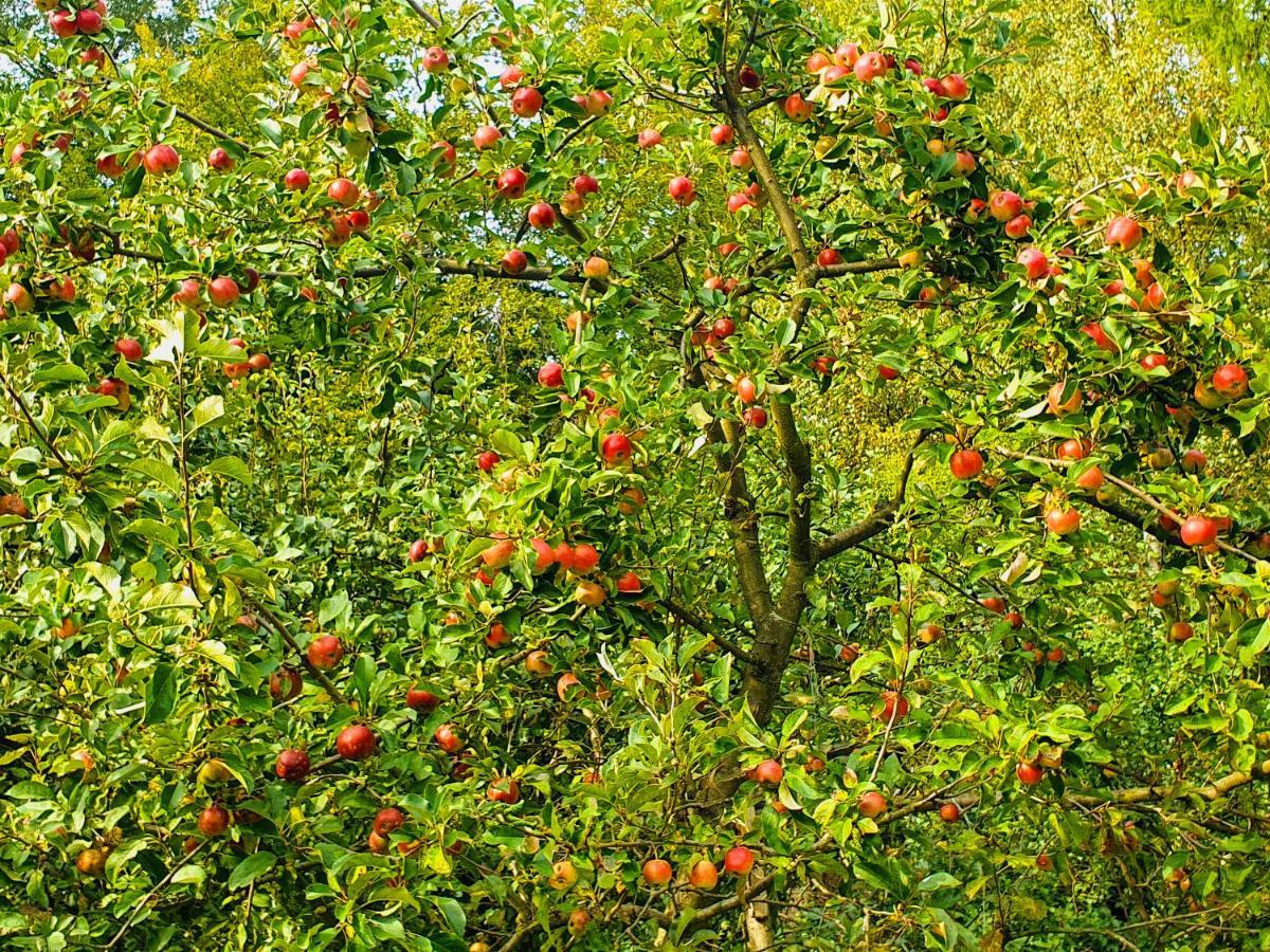 Domek Tylko Dla Ciebie Szczyrk Exterior foto